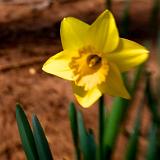 IMG_5007 - Version 2